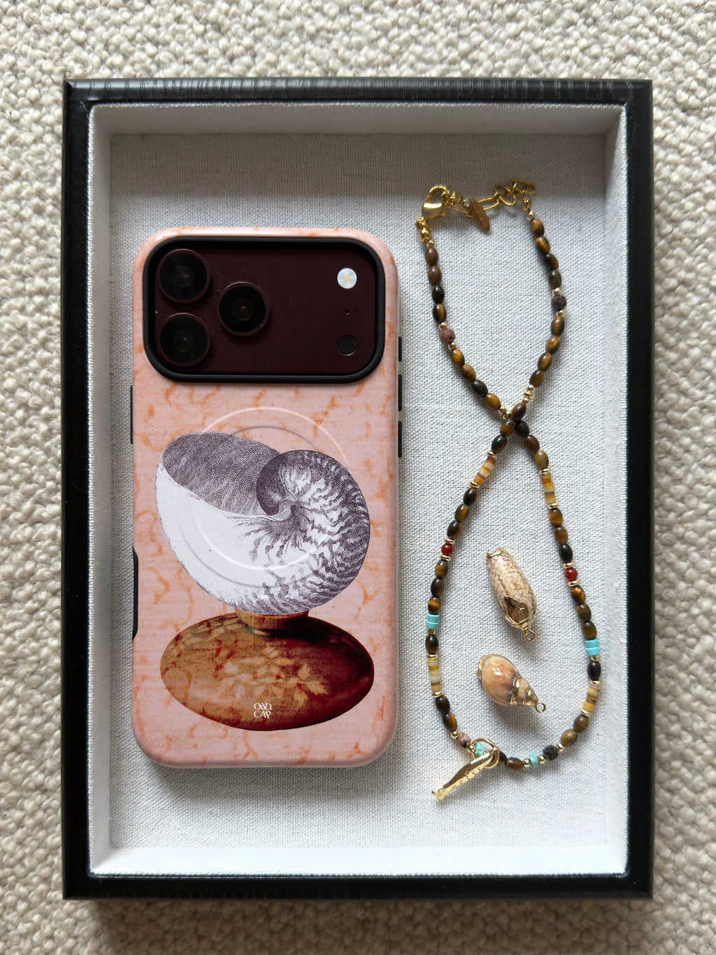 Nautilus